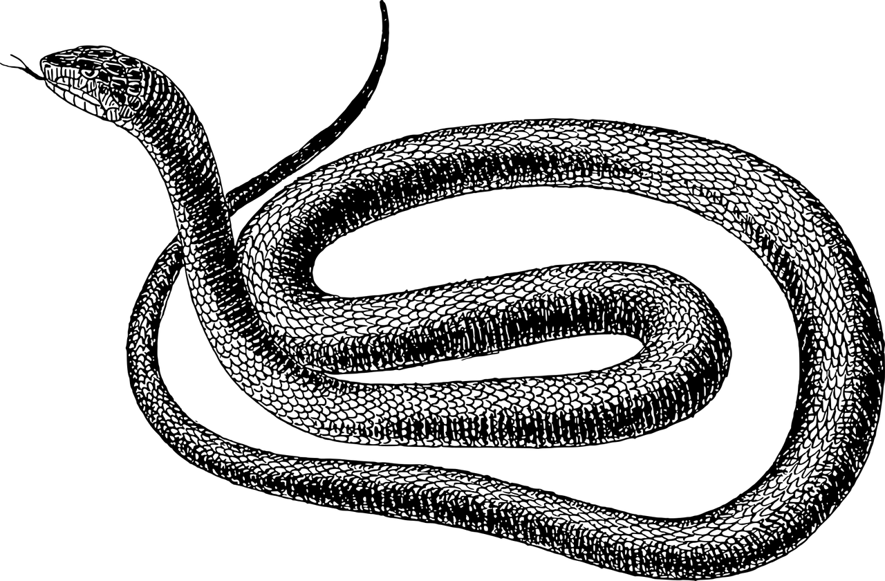 Illustration Hautbeschwerden